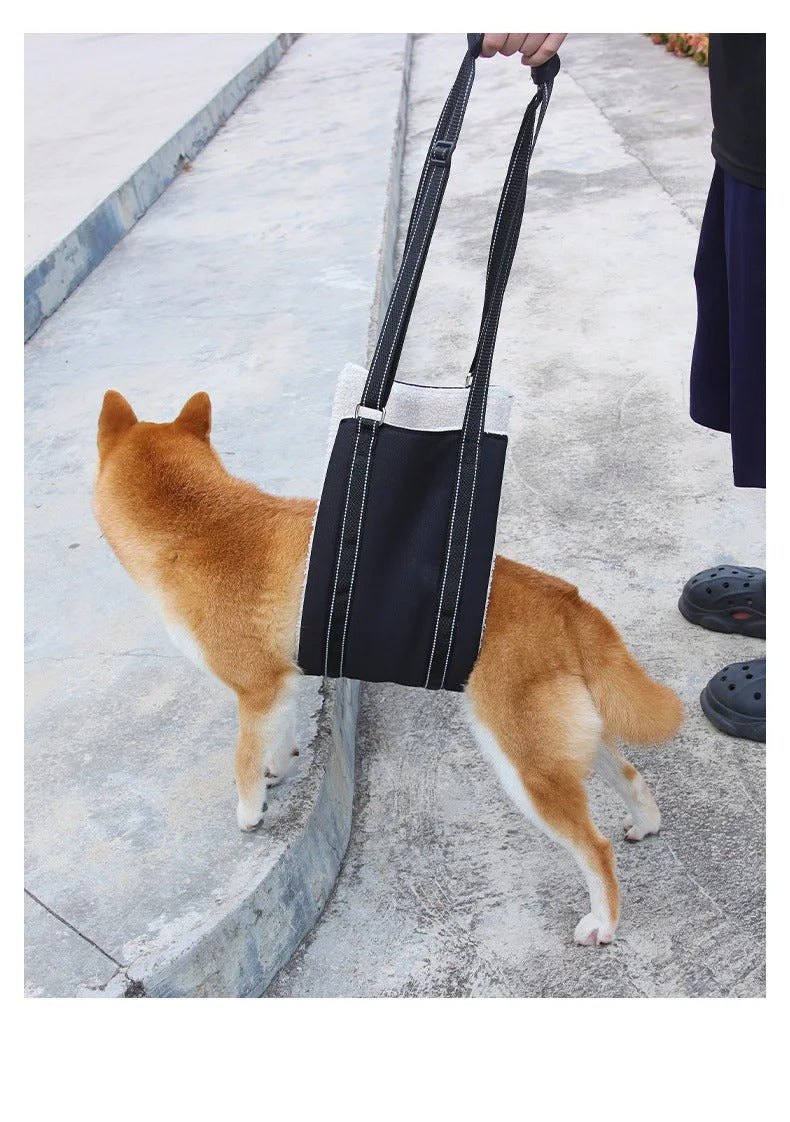 Dog support harness - Adjustable rehabilitation belt – Leash And Harness