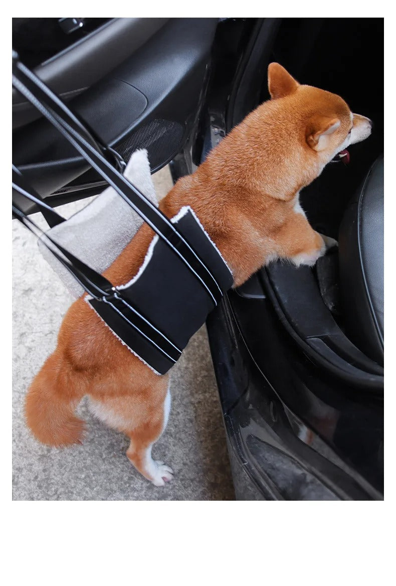 Dog support harness - Adjustable rehabilitation belt – Leash And Harness