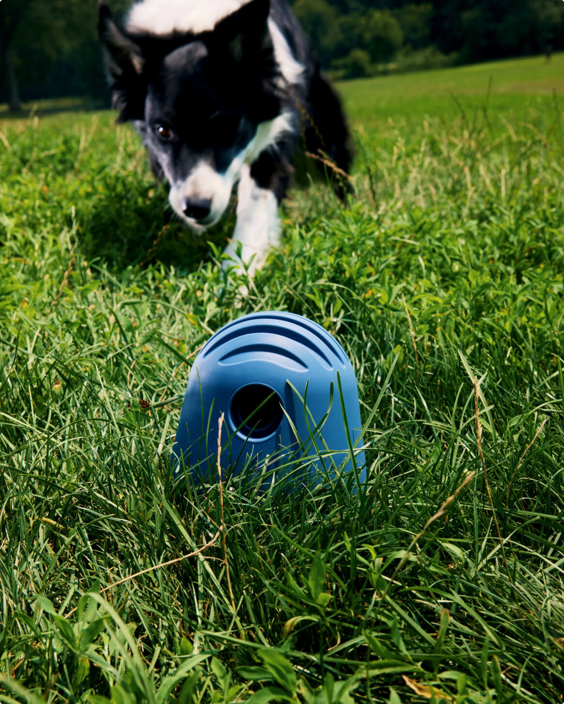 The Puffin™ Game Accessories