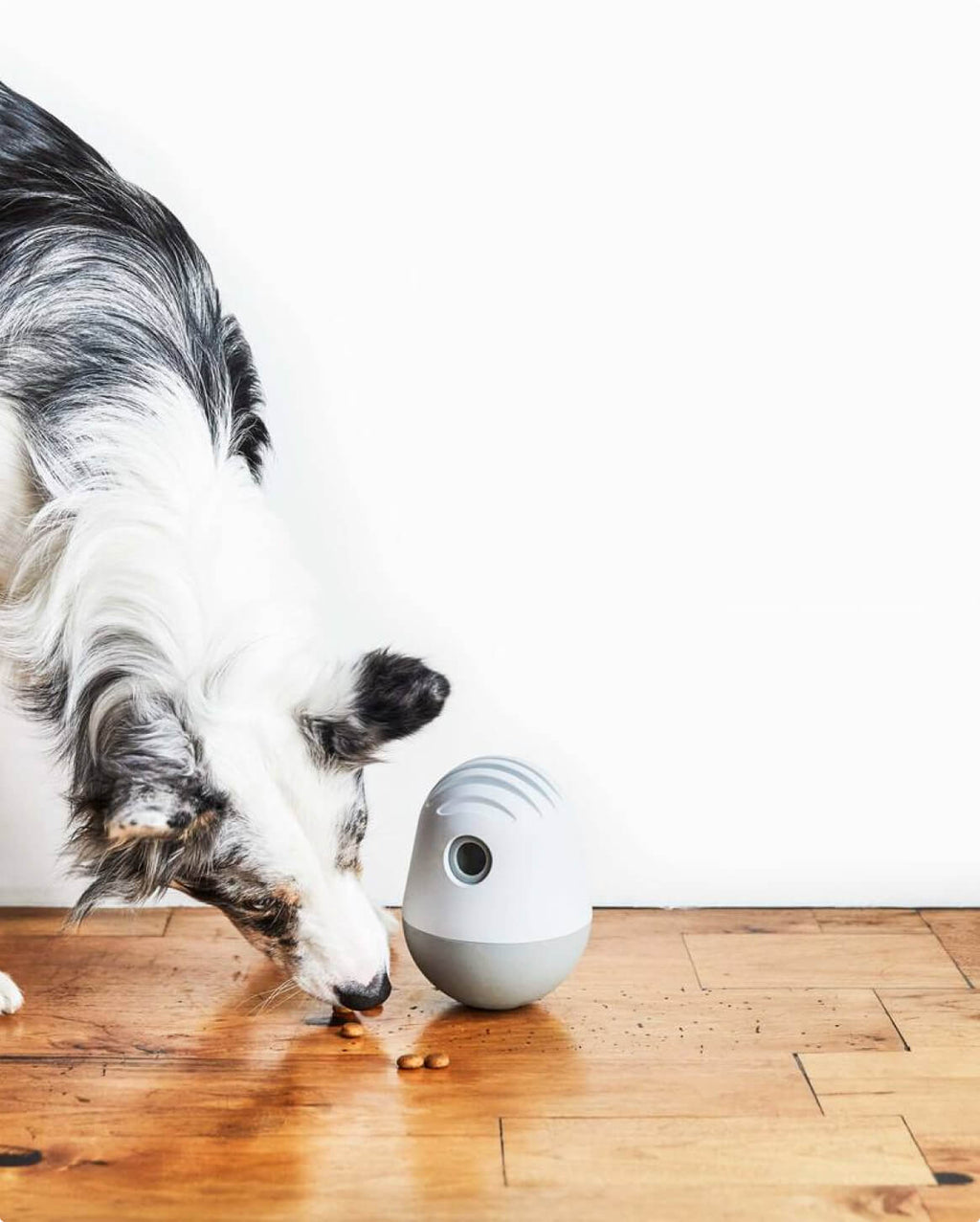 The Puffin™ Game Accessories