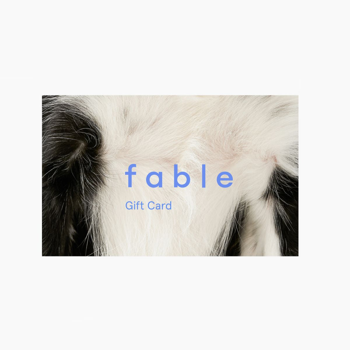 Gift Card Gift Card
