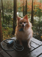 Magic Leash® Accessories