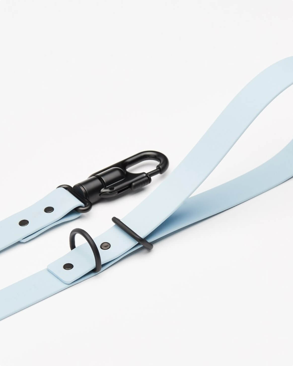 Signature Leash Leash