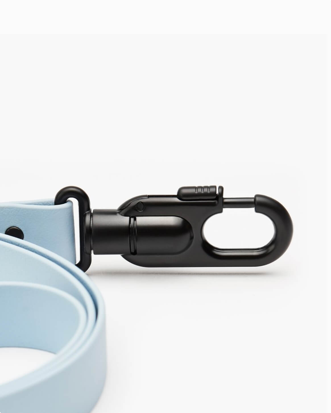 Signature Leash Leash