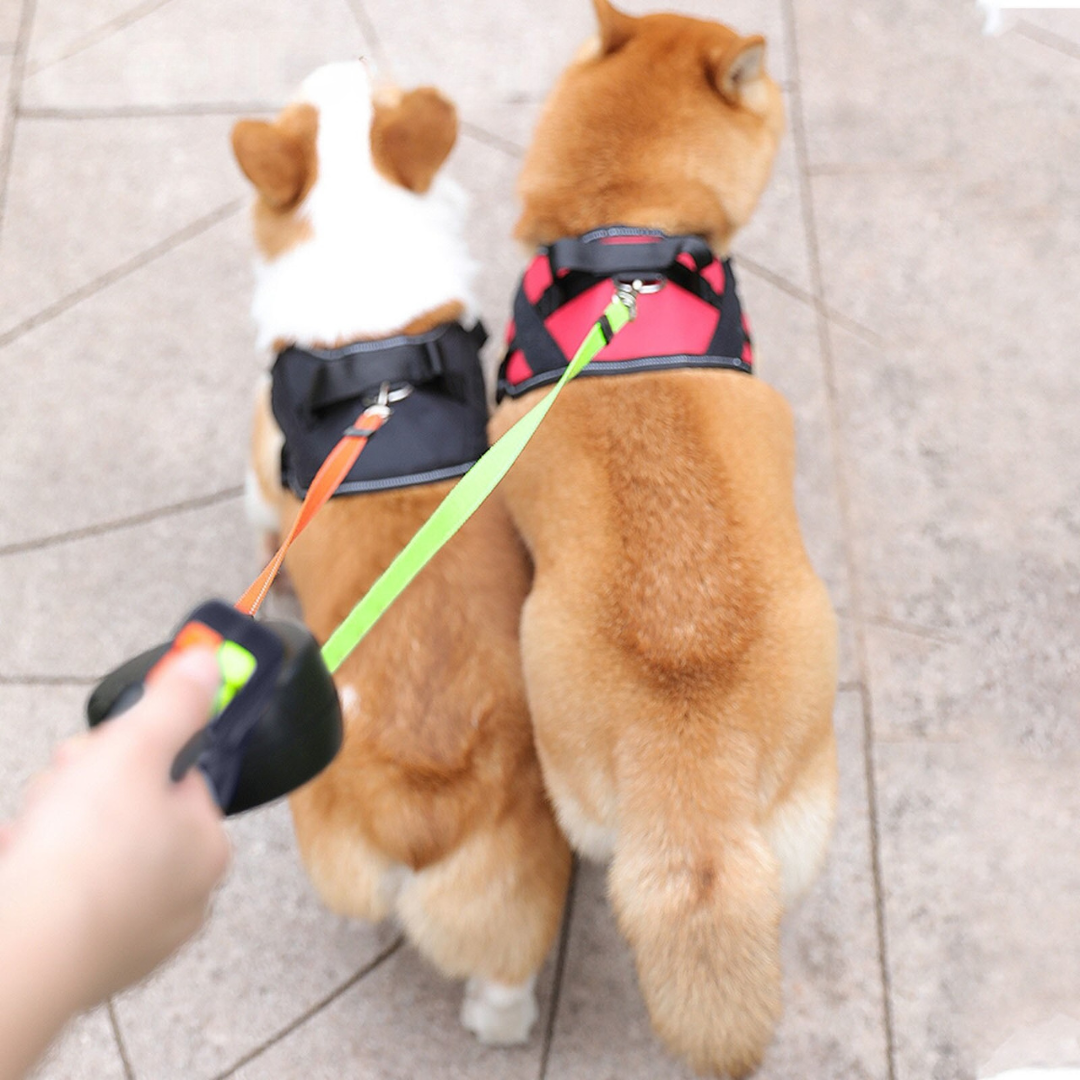 Tangle Free Dual Dog Leash – Leashes & Harnesses