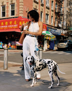 Magic Link® Accessories