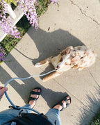 Magic Link® Accessories