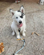 Magic Link® Accessories