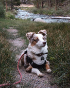 Magic Link® Accessories