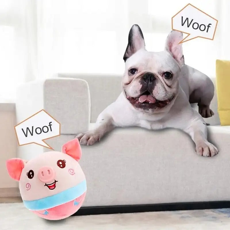 DogRover: Unlimited Fun for Your Dog – Dog Toys