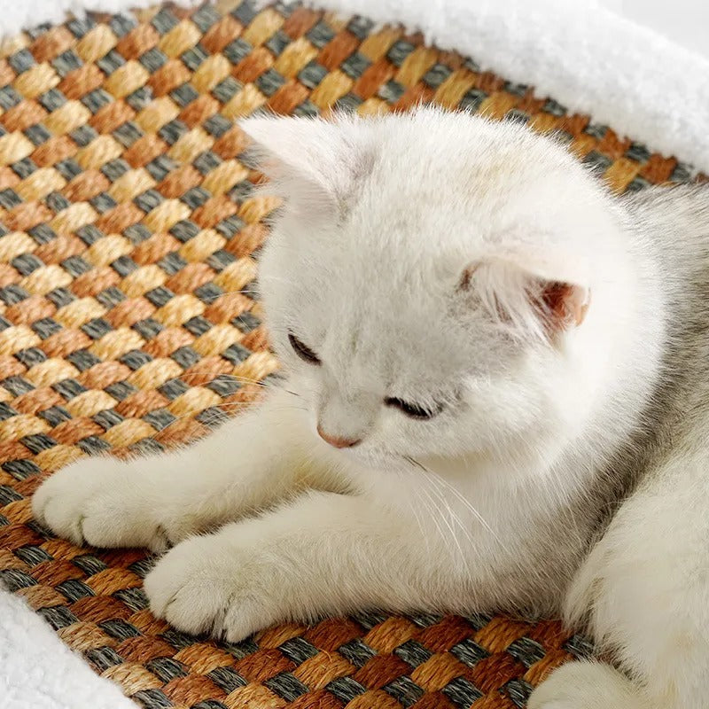 Luxury Scratch Cat Bed