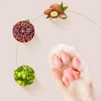 Paw Care Cream for Dogs & Cats – Care & More