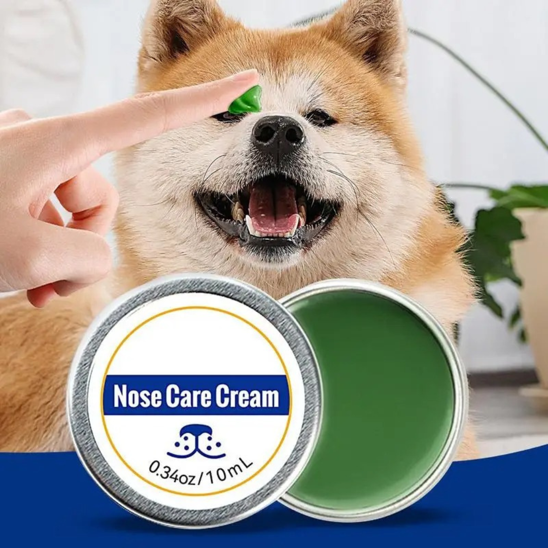 Care and protection cream for dog snouts – Care & More