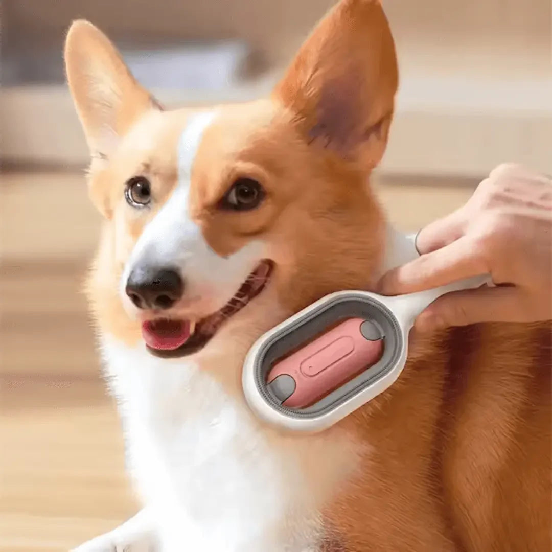 Multi-Use Grooming Brush – Comb