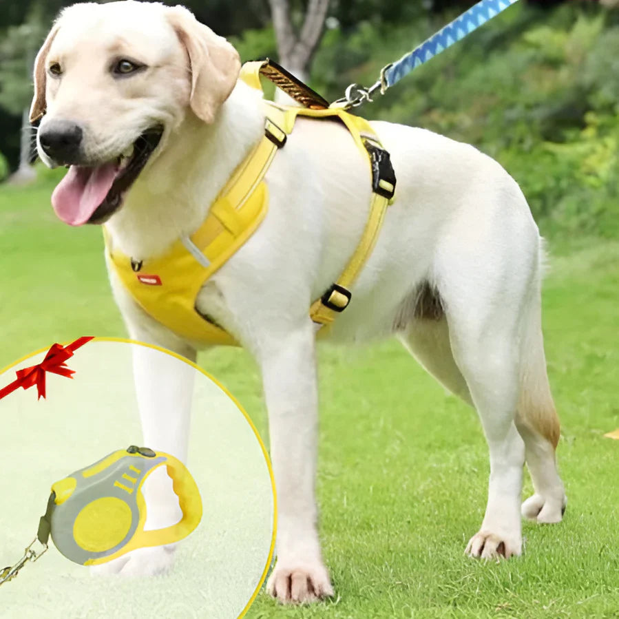 NoPull Dog Harness – WalkEase – Leashes & Harnesses