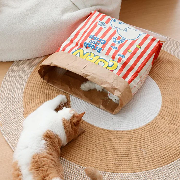 Cat Sleep & Play Cardboard Popcorn Bag – Cat Toys