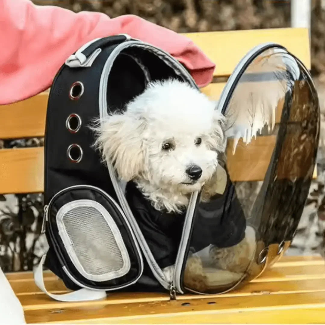 Portable Pet Backpack