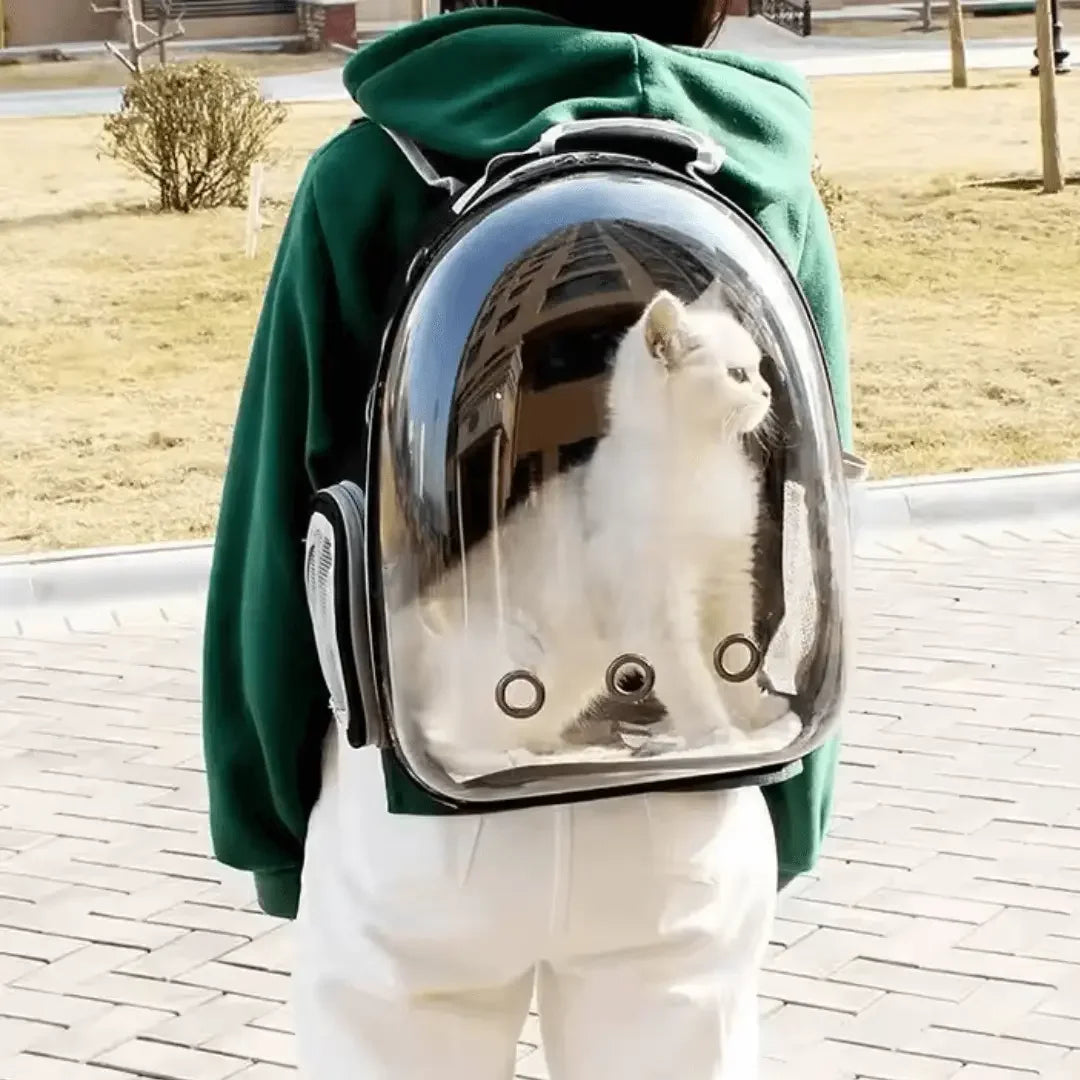 Portable Pet Backpack