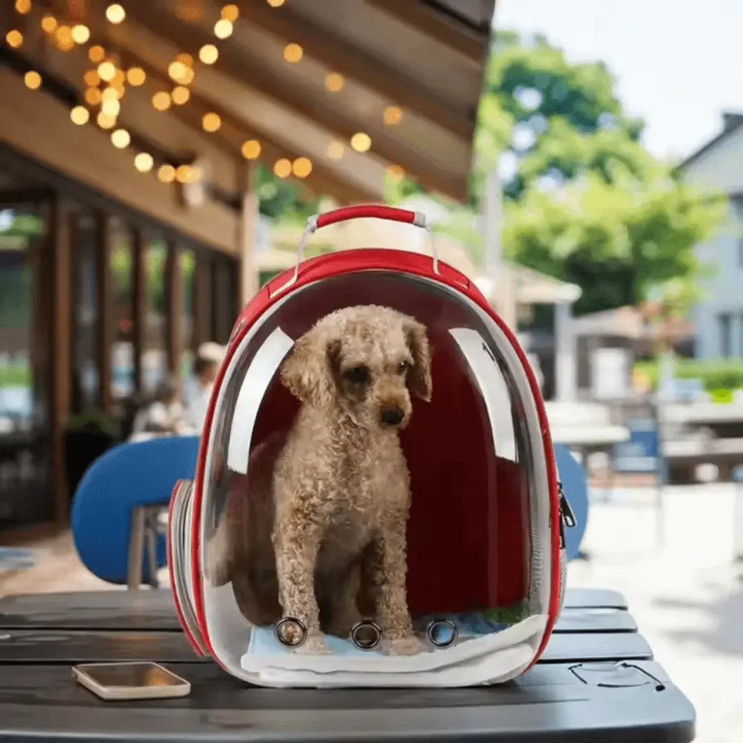 Portable Pet Backpack