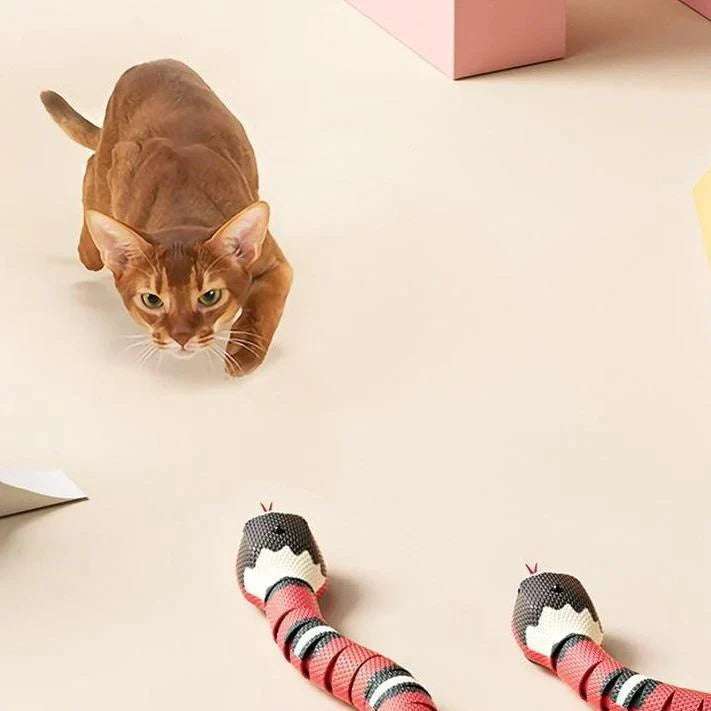 HuntMaster – Interactive Snake Toy – Cat Toys