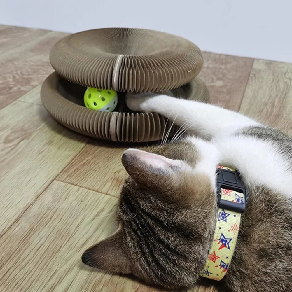 Active Fun for Your Cat – PurrPlay – Cat Toys