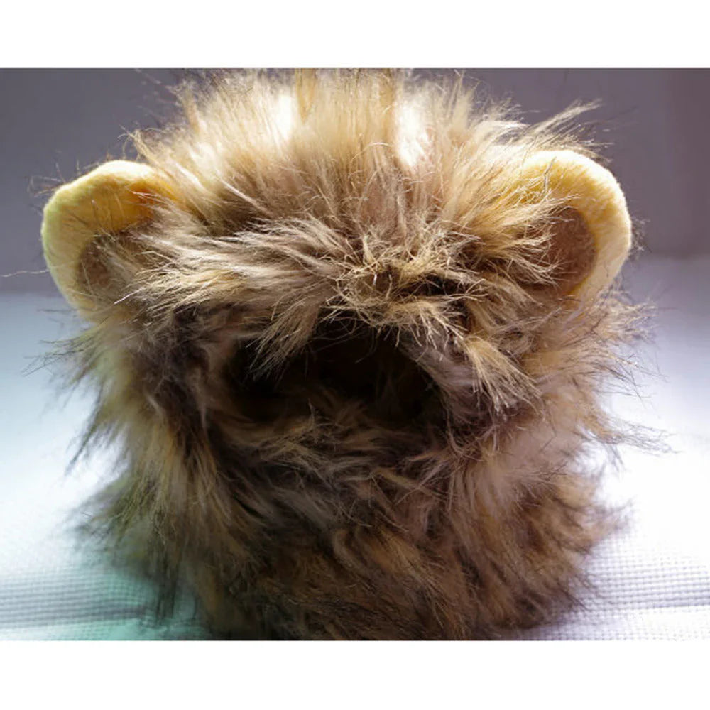 Royal Cat Mane – FelineKing – Cat Toys