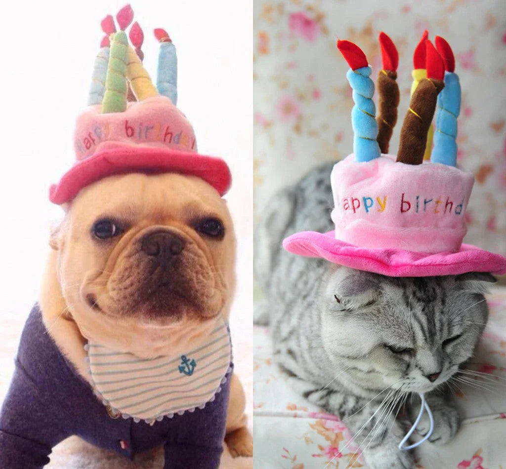 Pet Birthday Hat – PartyPaws – Personalized