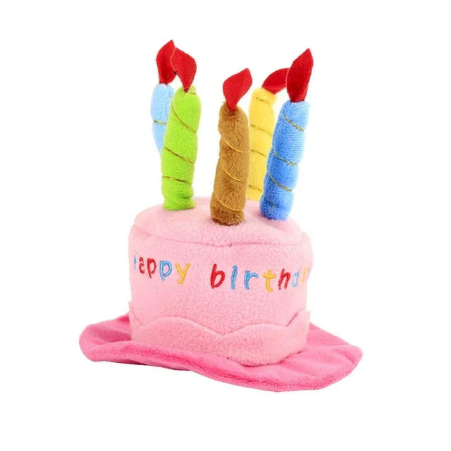 Pet Birthday Hat – PartyPaws – Personalized