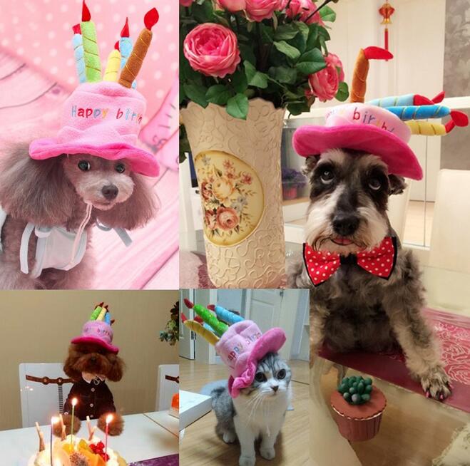 Pet Birthday Hat – PartyPaws – Personalized