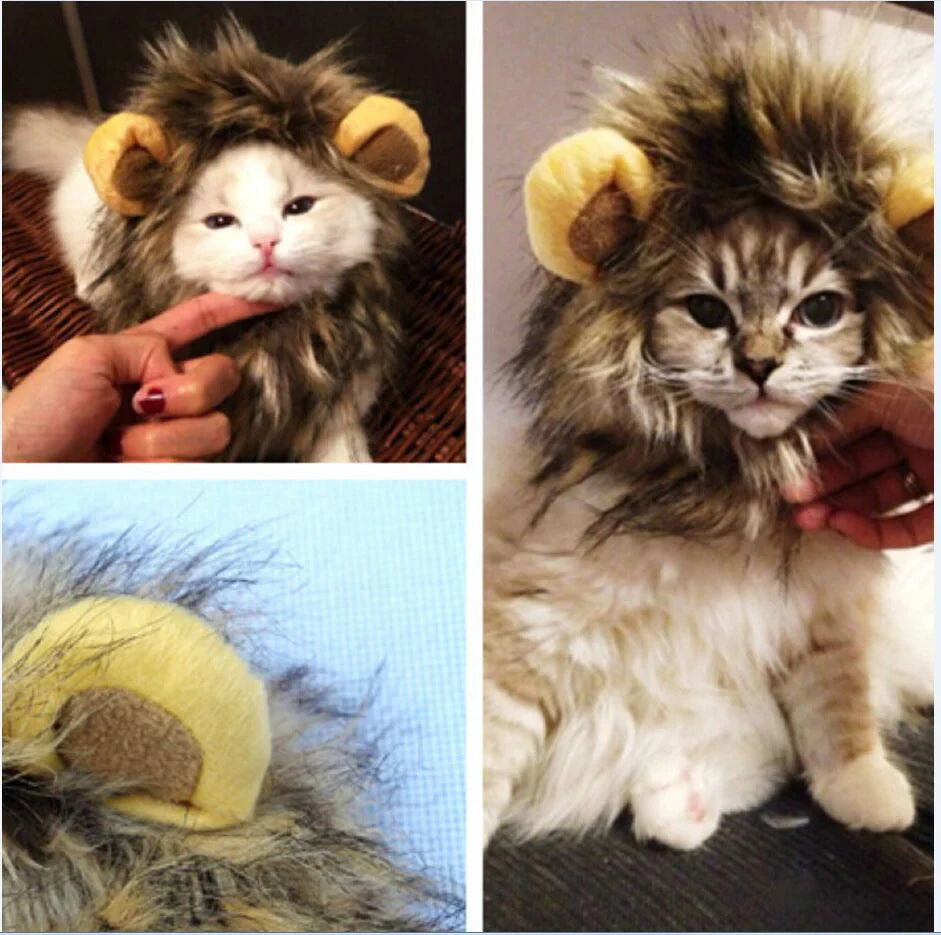 Royal Cat Mane – FelineKing – Cat Toys