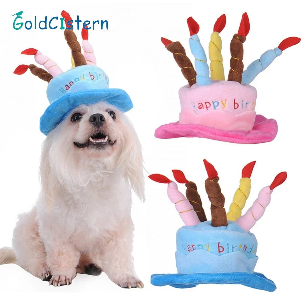 Pet Birthday Hat – PartyPaws – Personalized