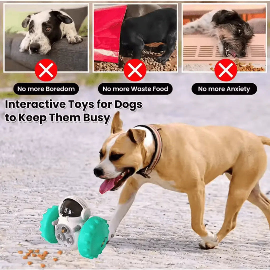 Pet Feeding Toys
