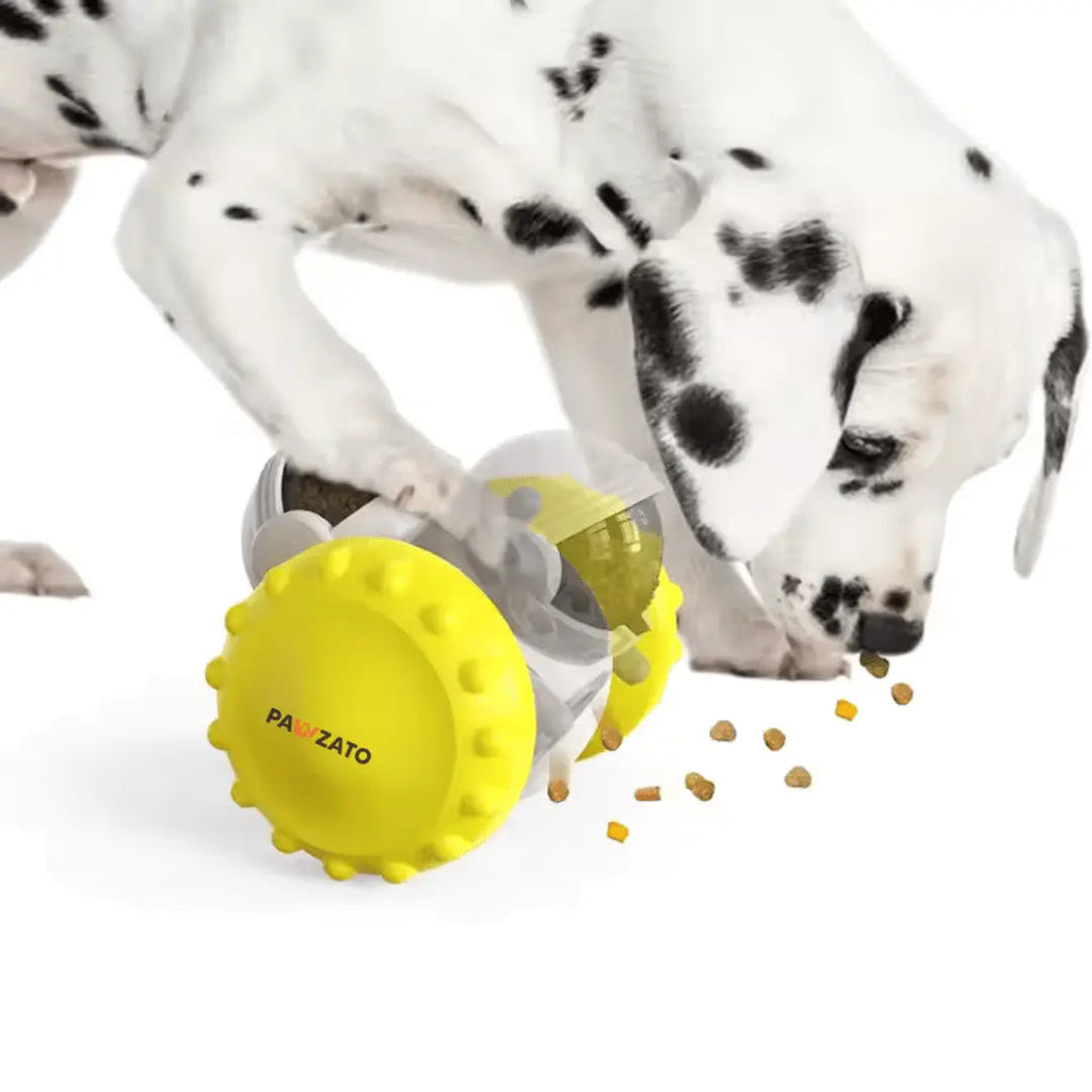 Pet Feeding Toys