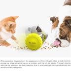 Pet Feeding Toys