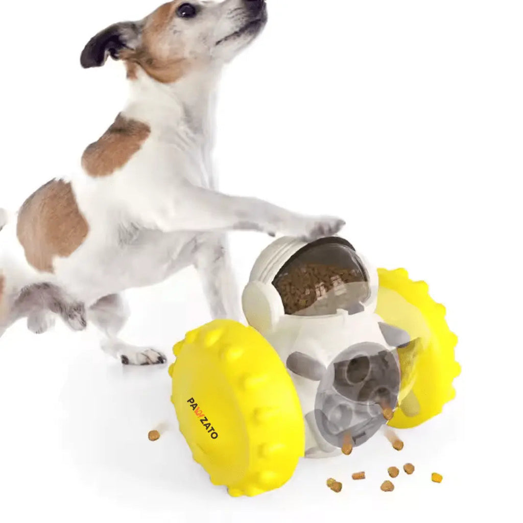 Pet Feeding Toys