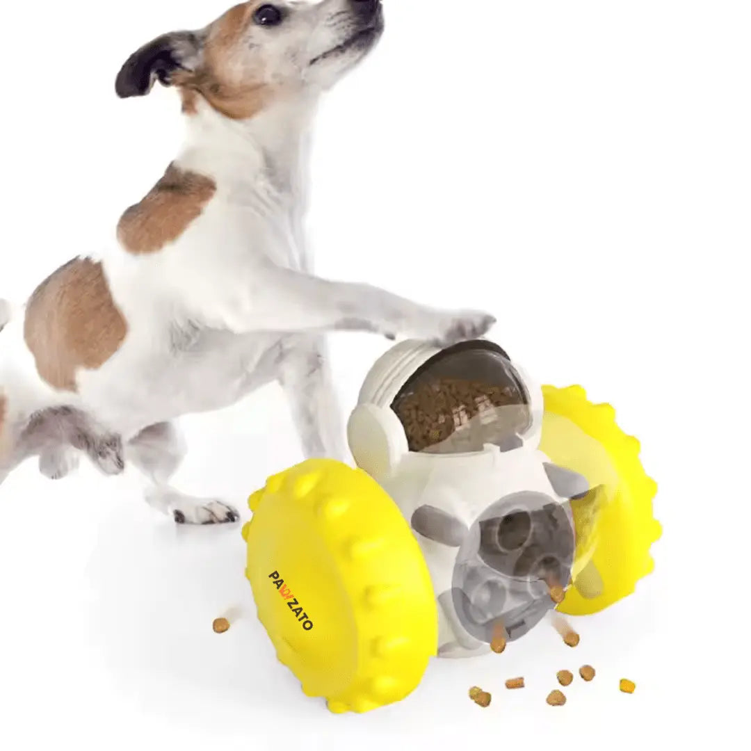 Pet Feeding Toys