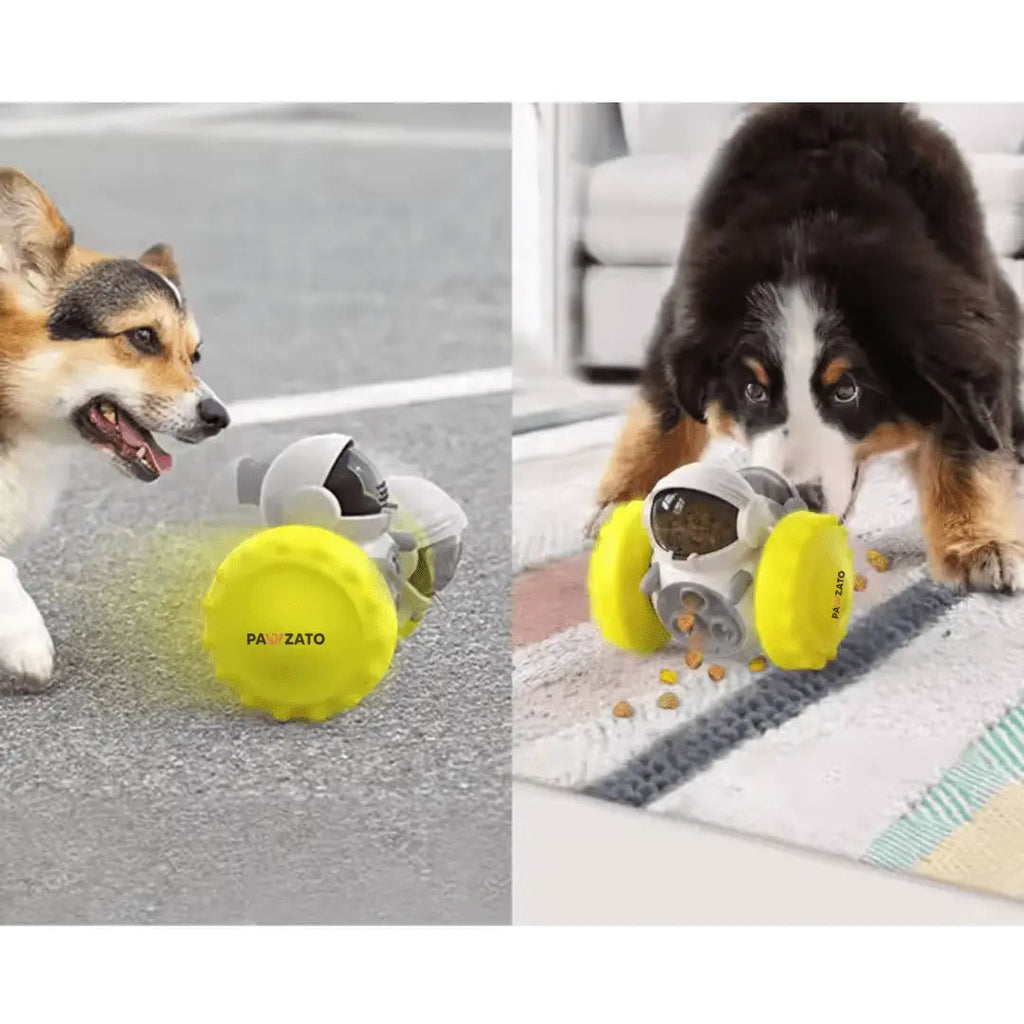 Pet Feeding Toys