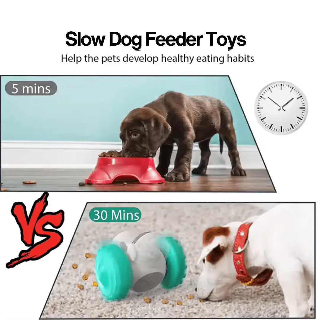 Pet Feeding Toys