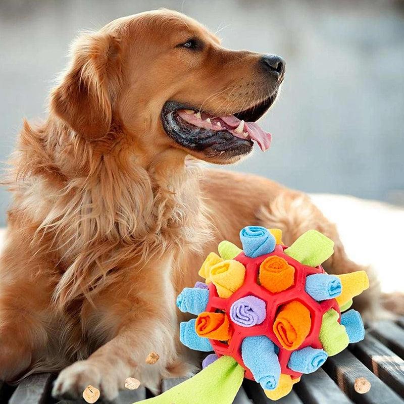 PlayPaw Interactive Pet Toy – Dog Toys