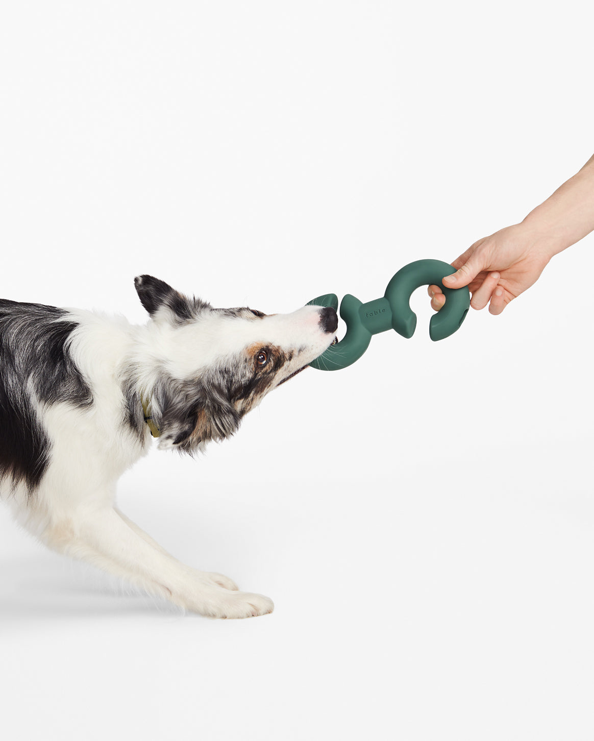 Twin Falcon Toy Toys