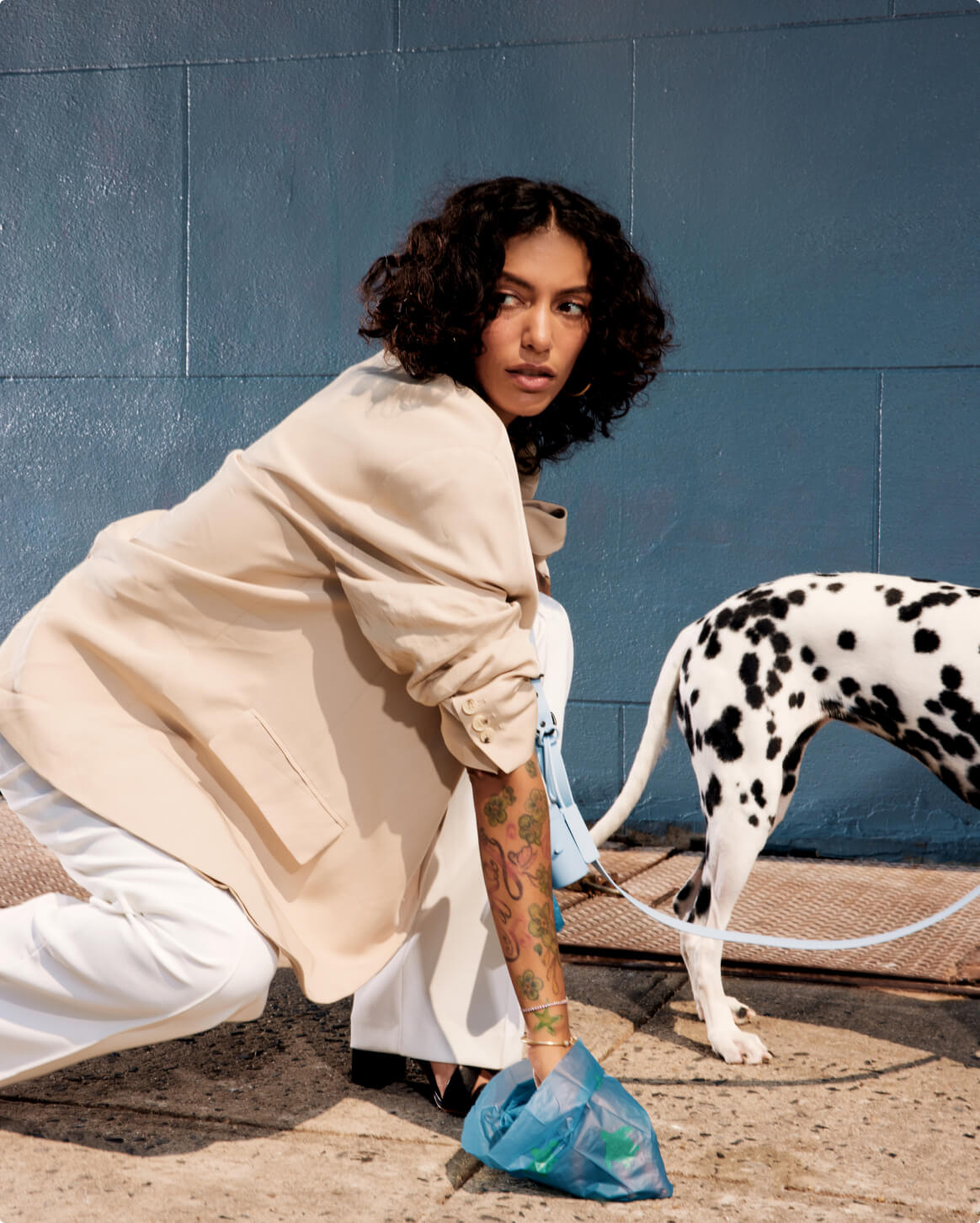 Waste Bags 12-Pack – Accessories