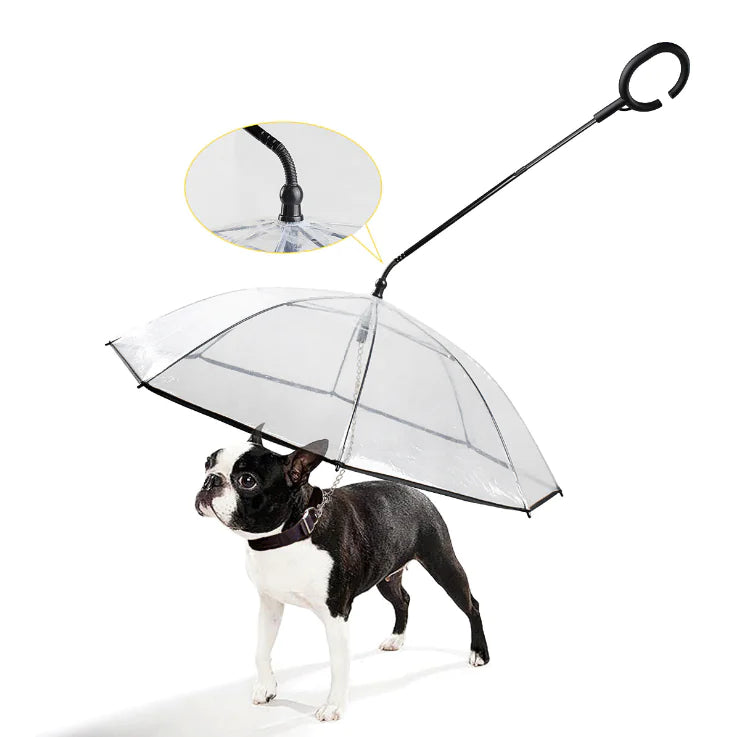ClearPaws Umbrella – Care & More